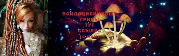 тгк Вязники