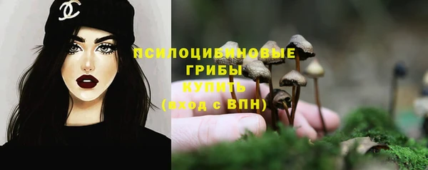 шишки Болотное
