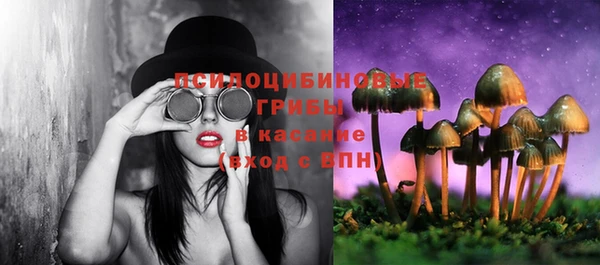 шишки Болотное