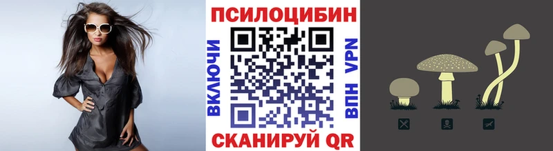 купить наркотик Волчанск Галлюциногенные грибы Psilocybe